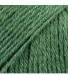 19 - Green - uni colour - vert forêt