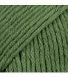 43 - Green - uni colour - vert foret