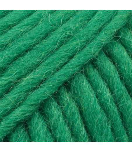 Drops Snow - uni colour 25 vert vif