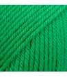 25 - Green - uni colour - vert perroquet