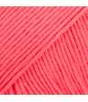 13 - Rouge - uni colour - framboise