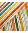 926 - print - Multicolore - littoral ensoleillé