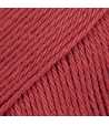 23 - Red - uni colour - baie de houx