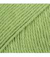 83 - Green - uni colour - spring leaf
