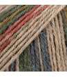103 - print - Multicolore - promenade en forêt